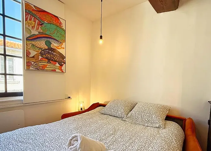 Molinski, Centre-ville A 5 Min Du Port Apartment *